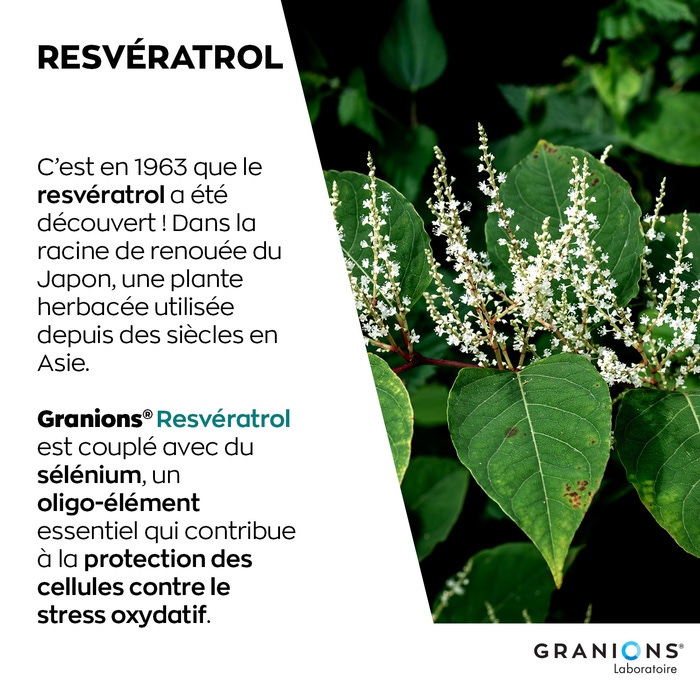 Granions Resveratrol 30 capsule
