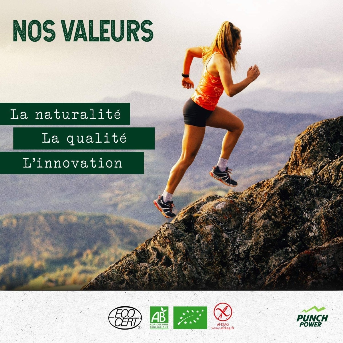 Punch Power Boisson Energétique Biodrink - nos valeurs