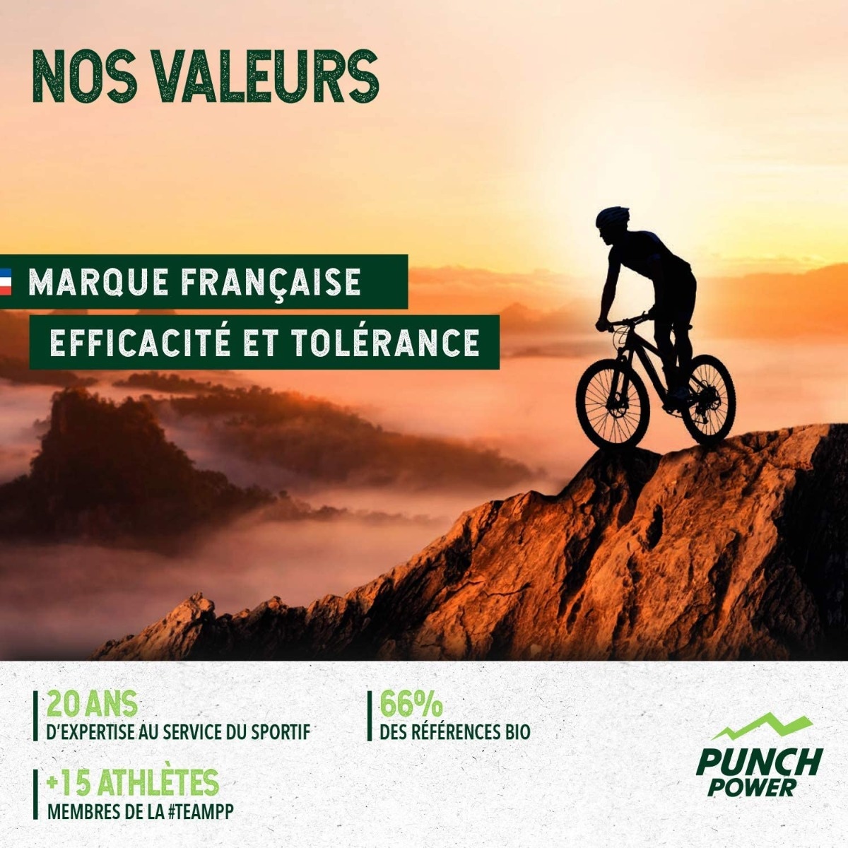 Punch Power Biodrink 500 g - nos valeurs