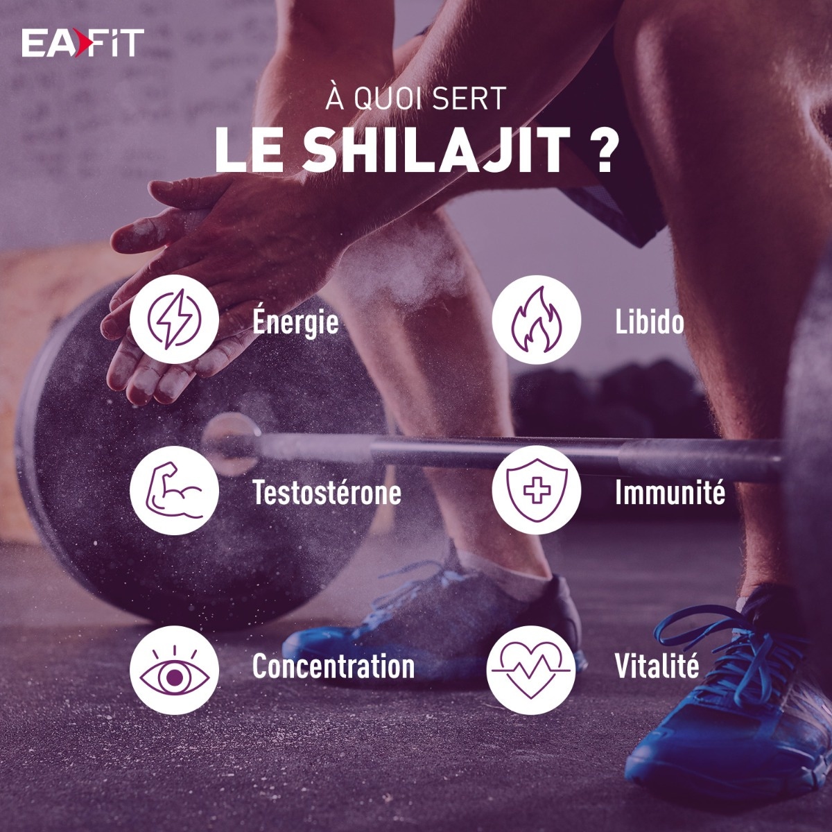 Fonctionnalités du shilajit 