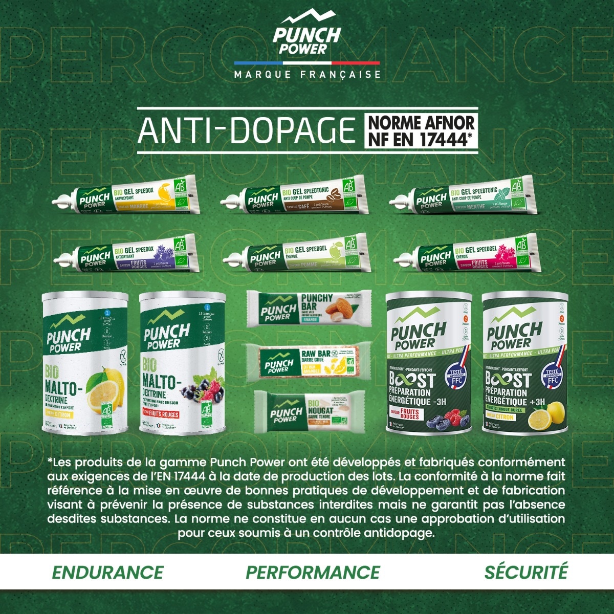 Punch Power Biodrink 500 g - Tè-Pesca